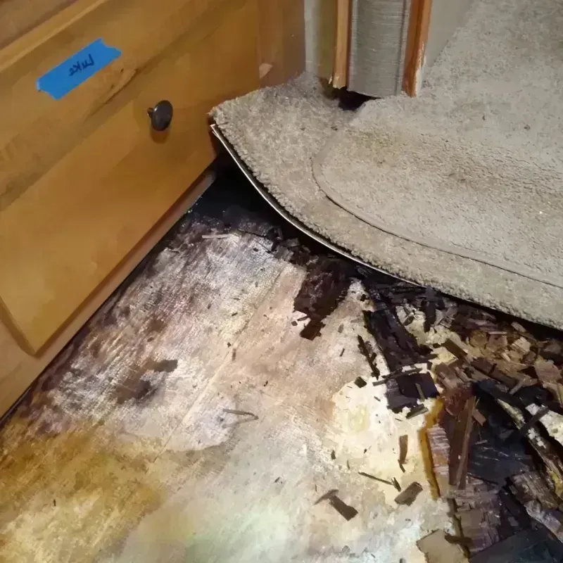 Best Wood Floor Water Damage Service in Cutler Bay, FL